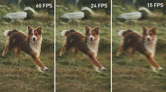 A taxa de quadros determina o número de imagens que são mostradas por segundo. A taxa de quadros determina o número de imagens que são mostradas por segundo.